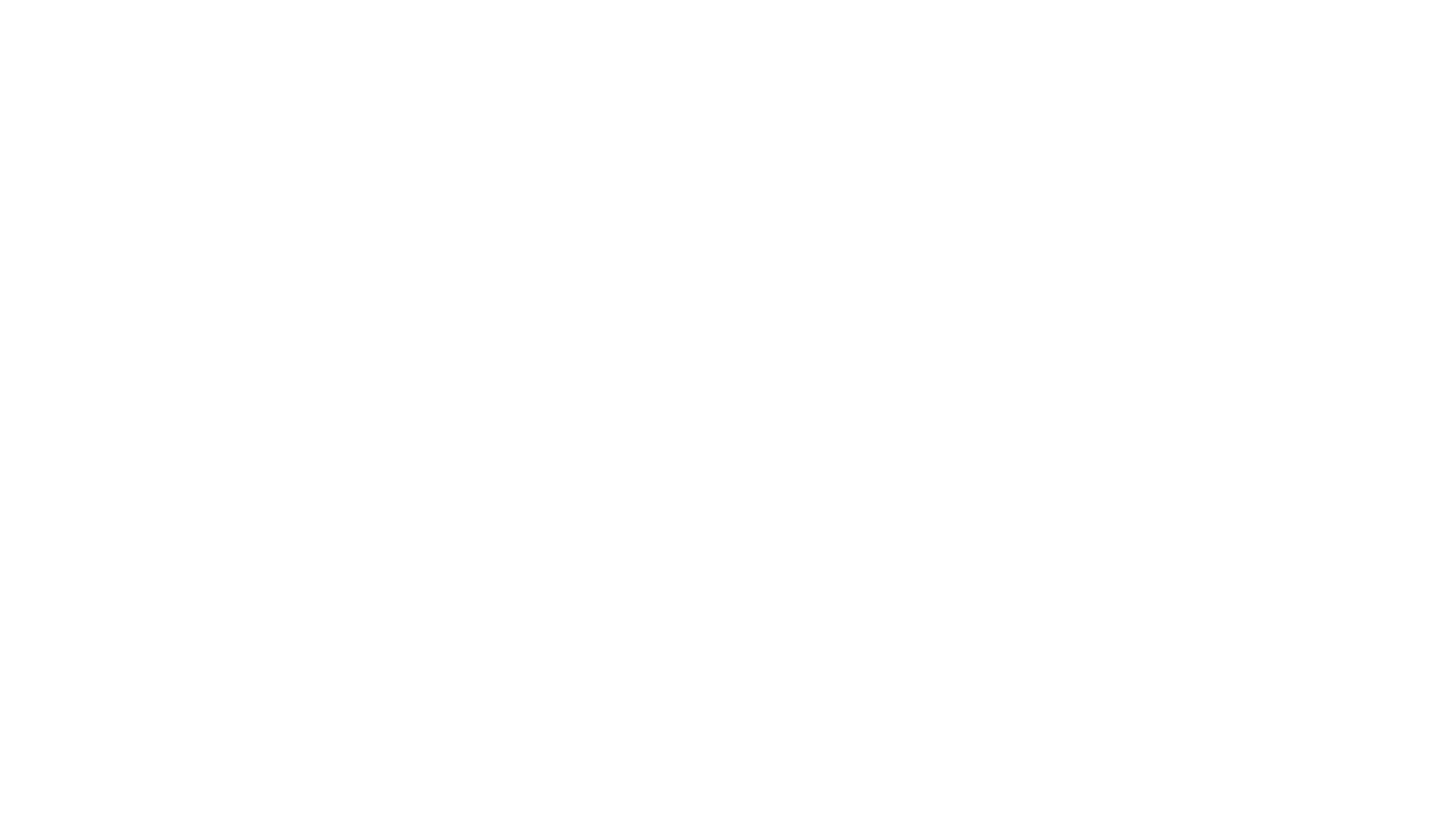 Origin Global Premium Partner